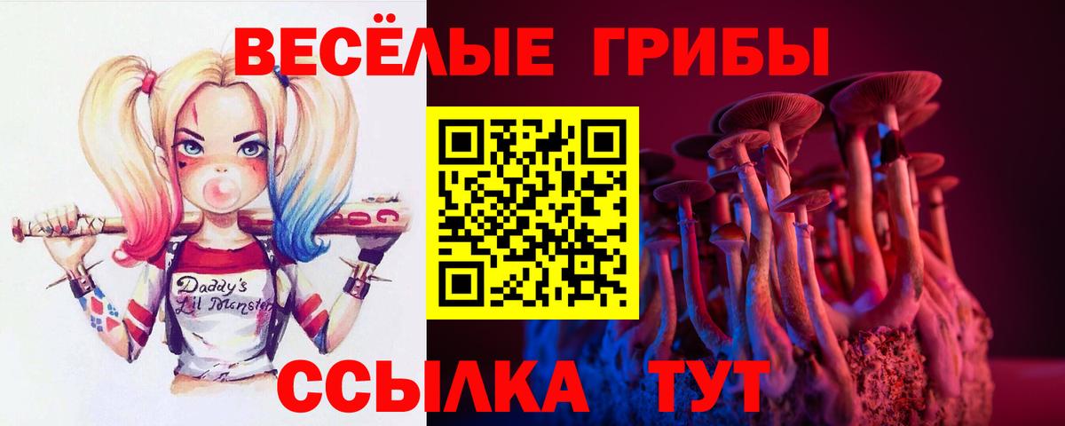 Галлюциногенные грибы MAGIC MUSHROOMS  где можно купить наркотик  Псилоцибиновые грибы Magic Shrooms  Можга  Вход с VPN 